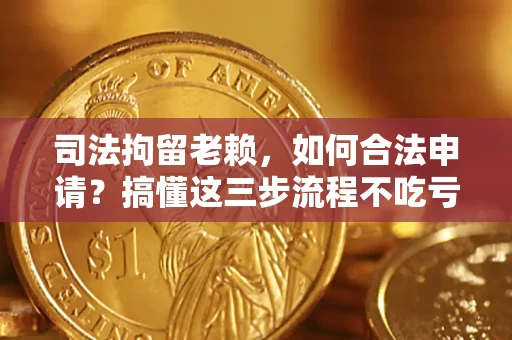 北京司法拘留老赖，如何合法申请？搞懂这三步流程不吃亏！