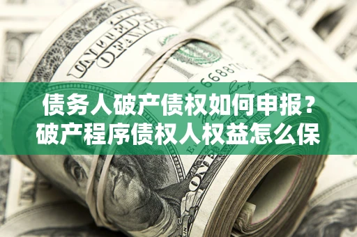 北京债务人破产债权如何申报？破产程序债权人权益怎么保障？