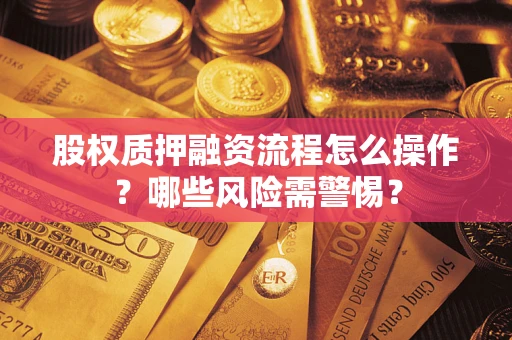 北京股权质押融资流程怎么操作？哪些风险需警惕？