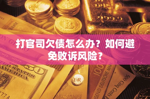 北京打官司欠债怎么办？如何避免败诉风险？