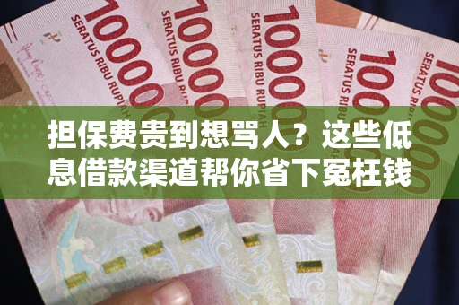 北京担保费贵到想骂人？这些低息借款渠道帮你省下冤枉钱